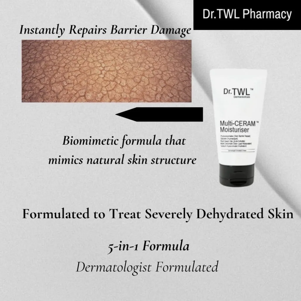 Biomimetic Lipids to Repair Skin Barrier