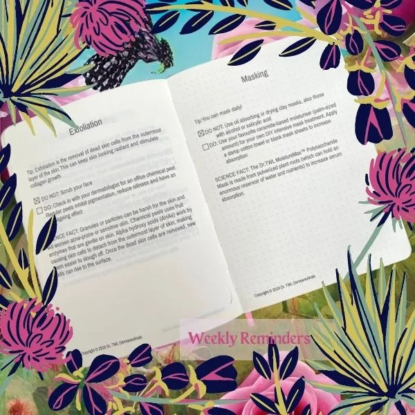 beauty journal 8