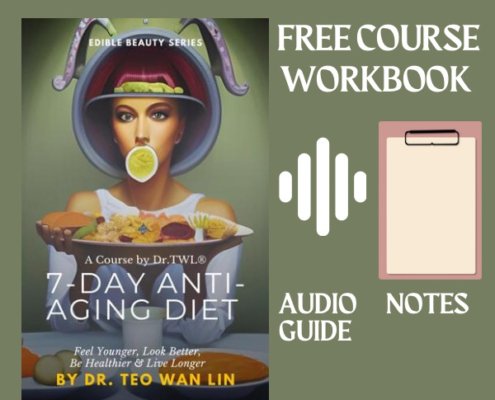 diet free course workbook