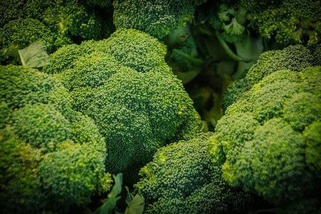 Broccoli Coenzyme Q10