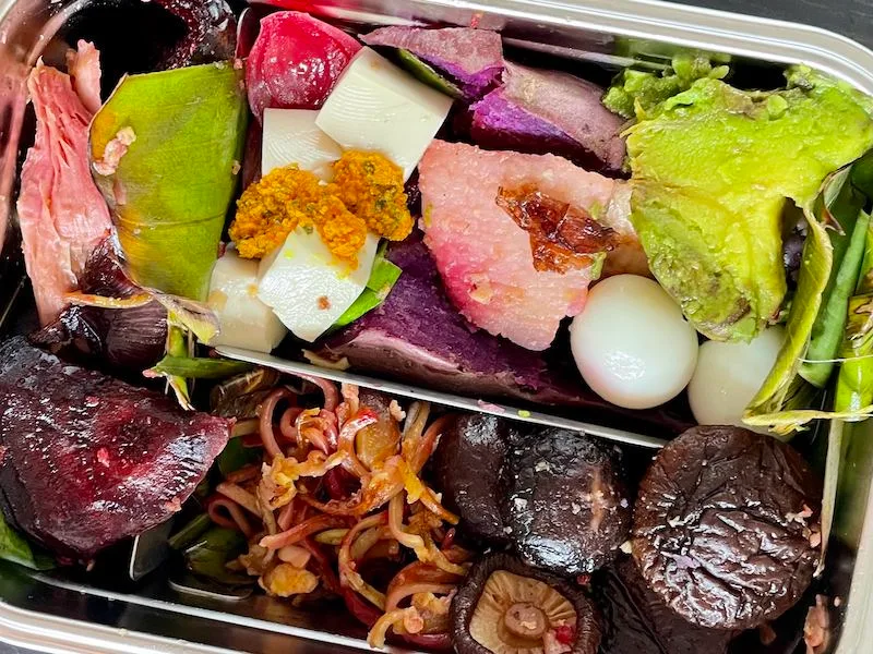 Clean Beauty Food Bento Lunchbox