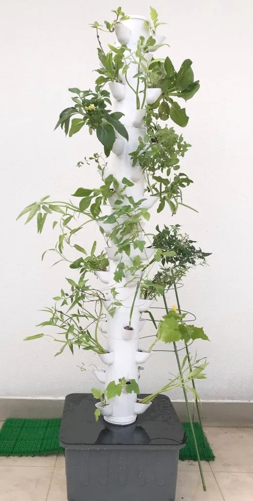Hydroponics Urban Tower Farm