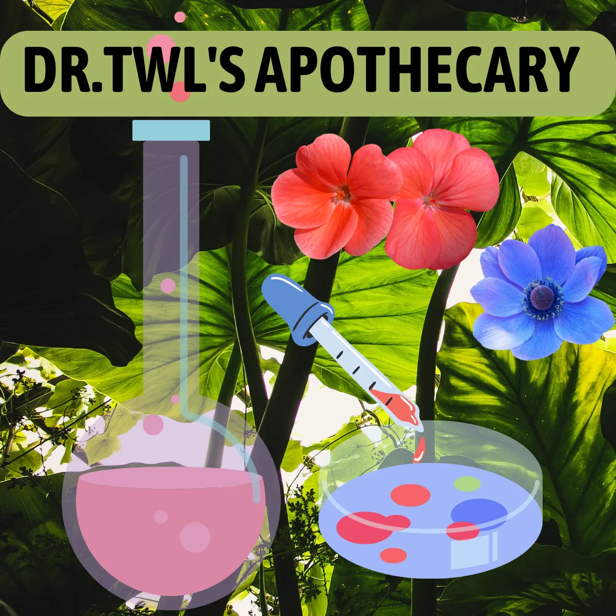 drtwl apothecary