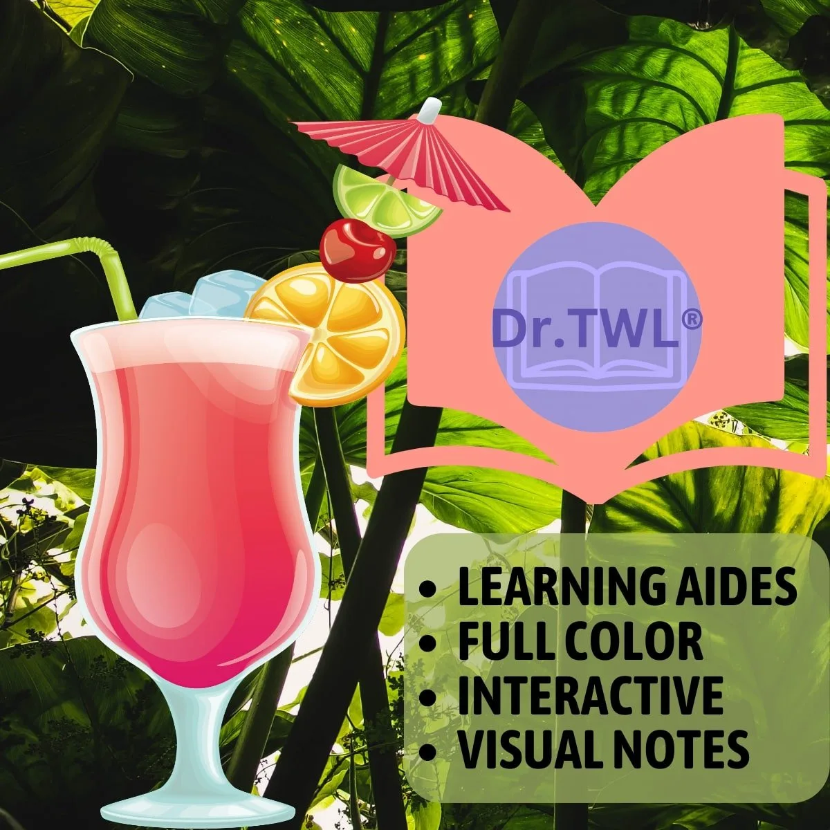 drtwl learning aides