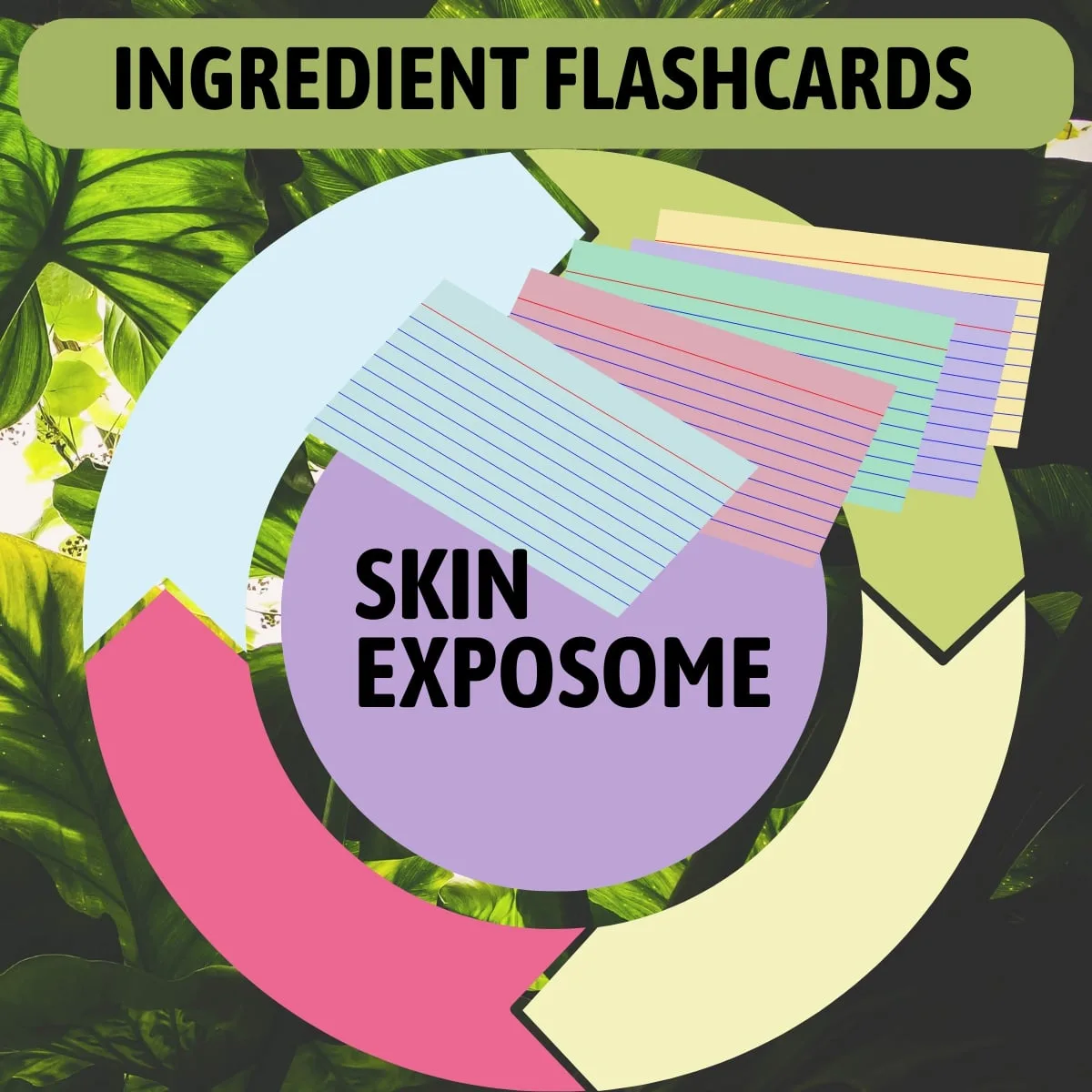 ingredient flashcards by drtwl