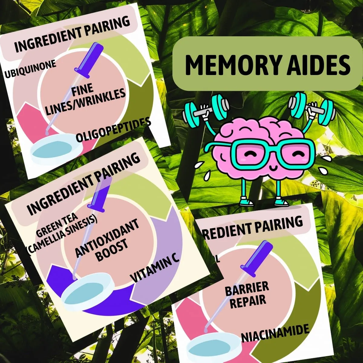memory aides by drtwl