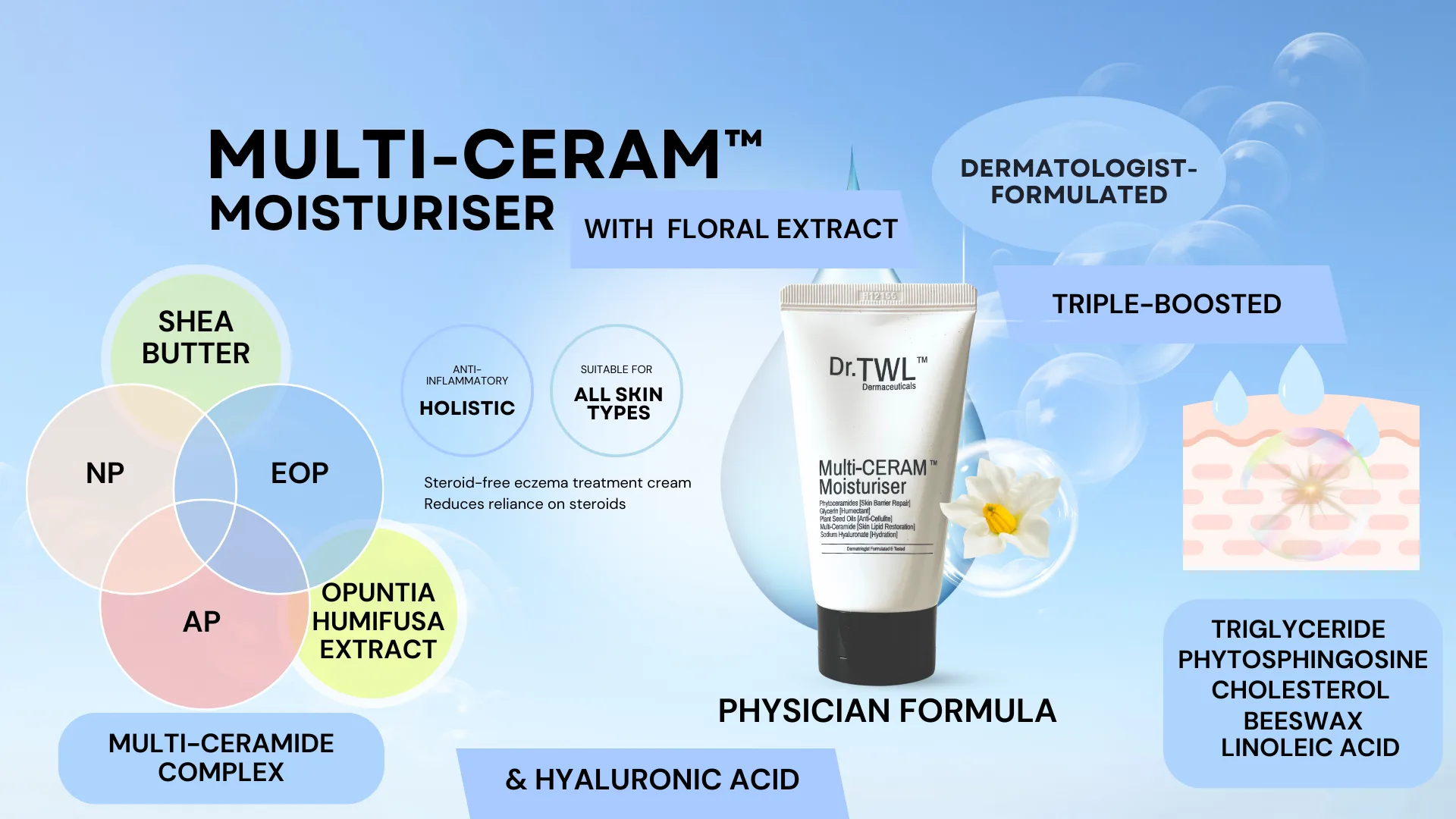 All In One Skin-Soothing Anti-Wrinkle Anti-Pigmentation Skin Barrier Repair