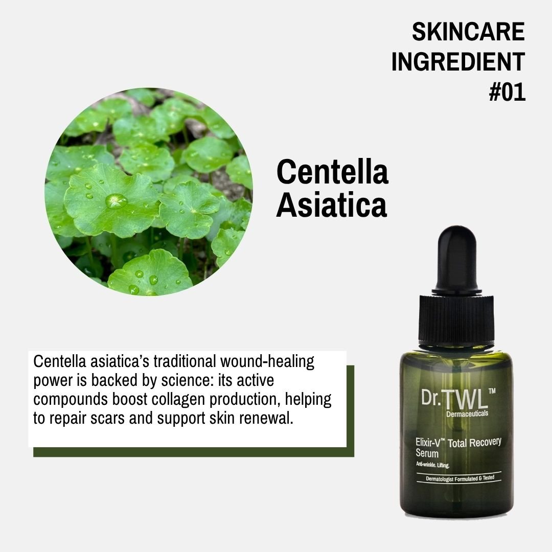 Centella Asiatica Plant-Based Skincare Ingredient