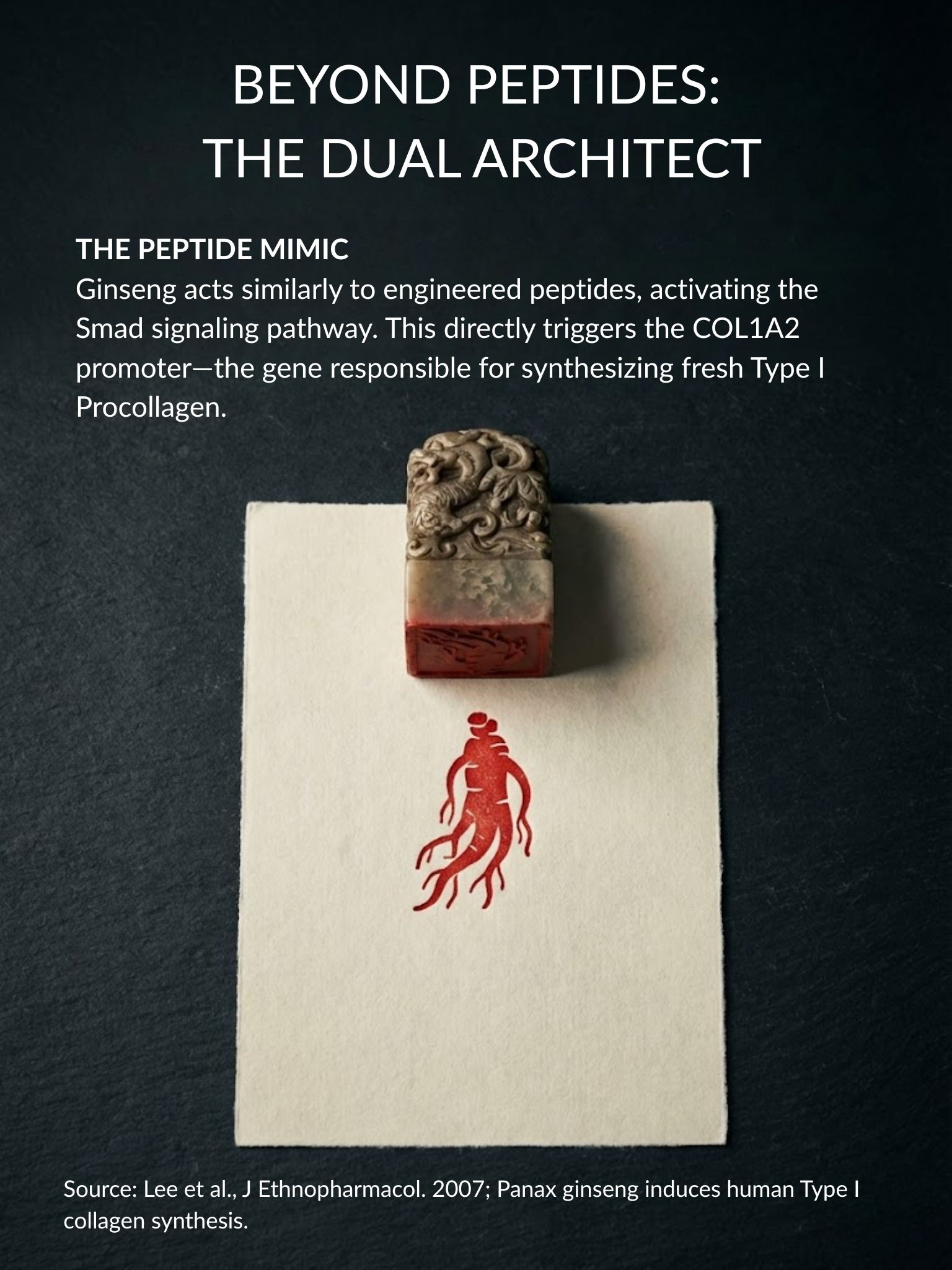 Ginseng Peptide Mimic as COL1A2 Gene Promoter