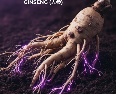 Panax Ginseng Collagen
