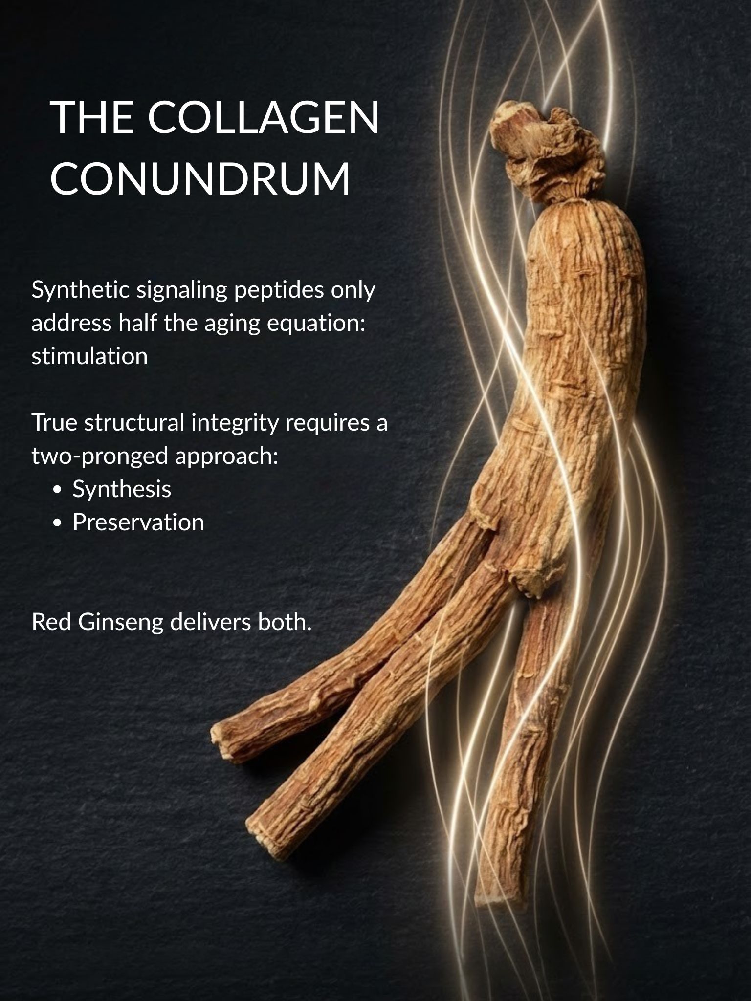 Panax Ginseng Collagen Synthesis + Preservation
