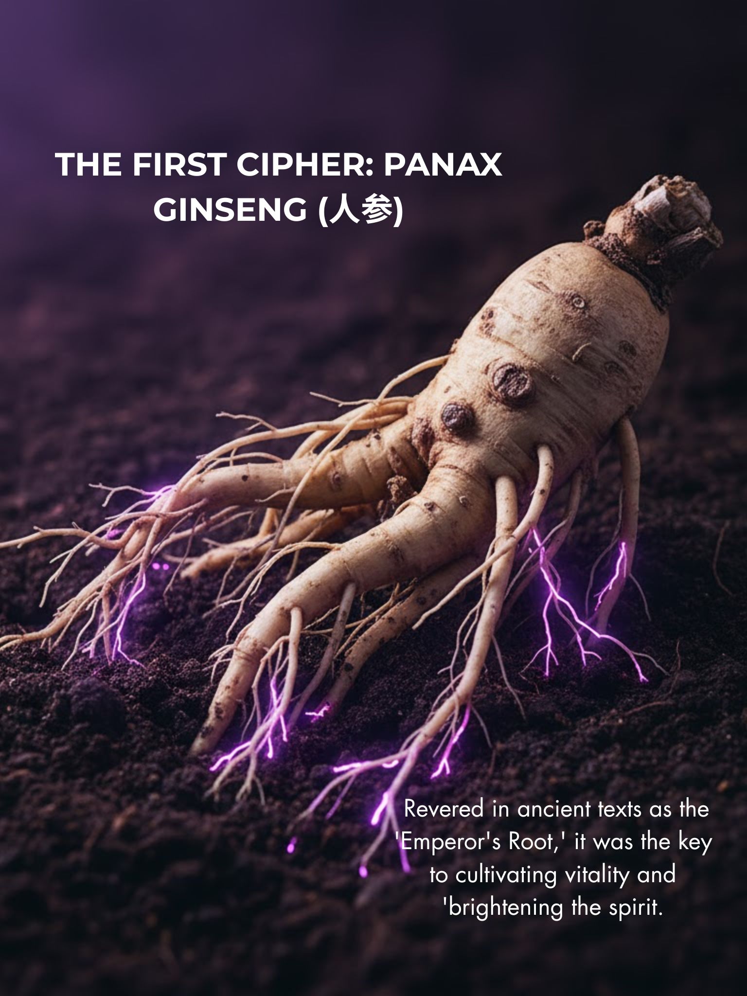 Panax Ginseng Collagen