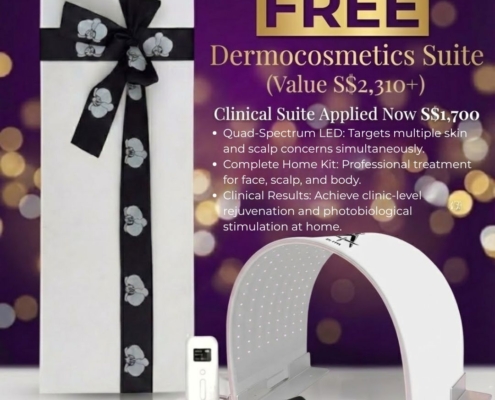 Aurora Xmas Bundle 2025