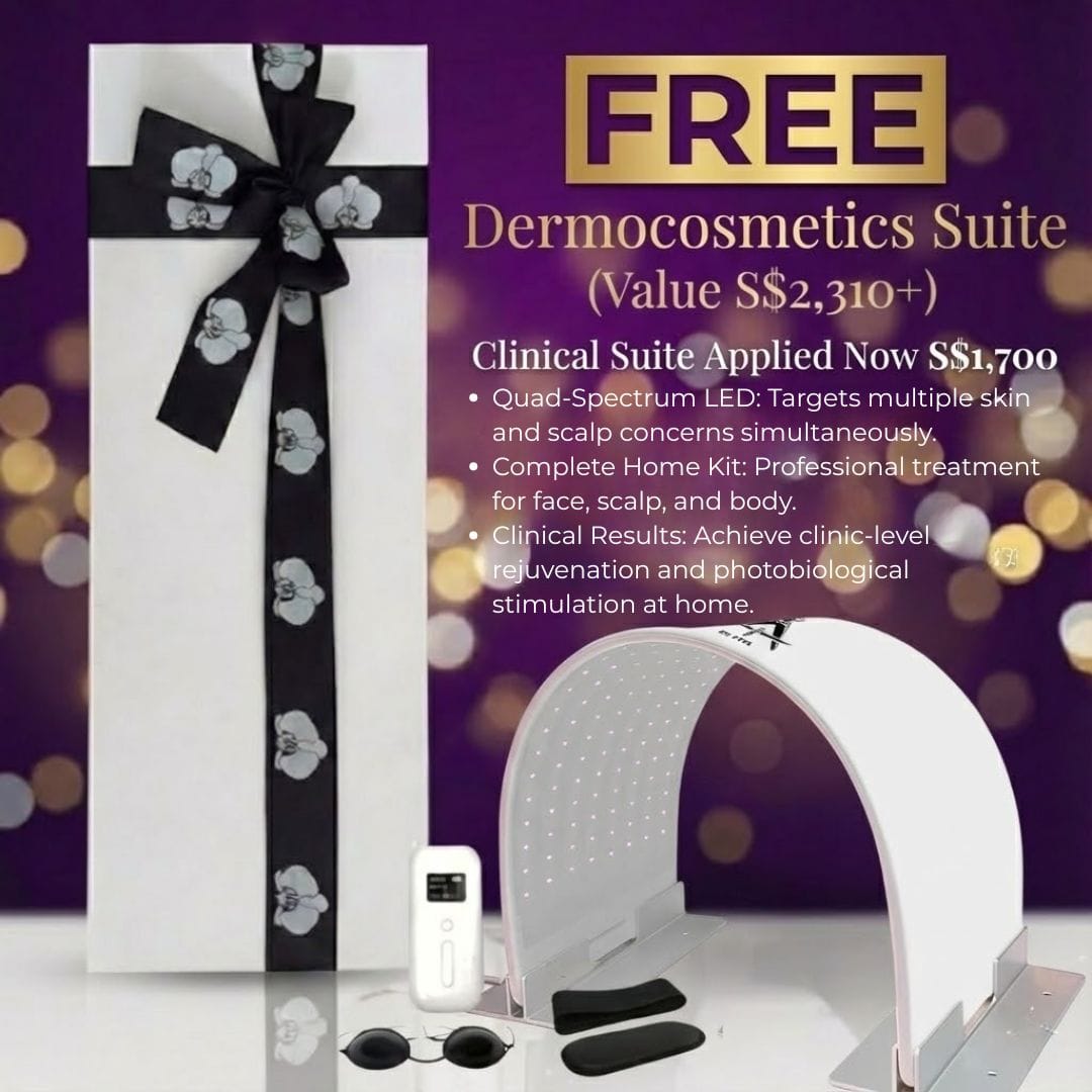 Aurora Xmas Bundle 2025