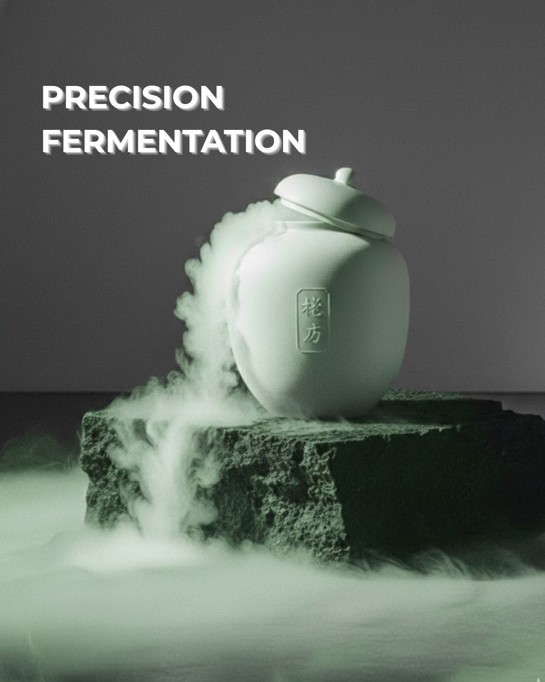 Dr.TWL Fermentation Facelift